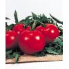20 Томат Президент II F1 Полудетерминантный. Нидерланды 20 семян
