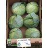 Капуста Сателит F1 белокочанная Нидерланды 2.500 семян