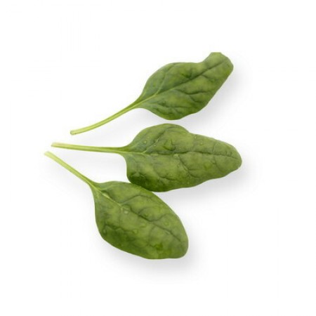 Шпинат Пума F1