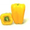 20 Перец Джемини F1 жёлтый призмовидный тип Лаймуйо, Нидерланды 20 семян