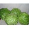 100 Капуста Парел F1 белокочанная Нидерланды 100 семян