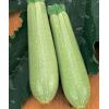 Кабачок Искандер F1 Нидерланды 1.000 семян