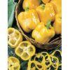 20 Перец Эрли Сансейшн F1 жёлтый кубовидный Нидерланды 20 семян