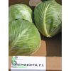 Капуста Перфекта F1 белокочанная Нидерланды 2.500 семян