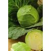 100 Капуста Нозоми F1 белокочанная Япония 100 семян