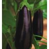 30 Баклажан Фарама F1 Франция 30 семян 30 Баклажан Фарама F1 Франция 30 семян