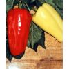 Перец Джипси F1 красный призмовидный тип Лаймуйо, Нидерланды 500 семян