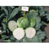 100 Капуста Мегатон F1 белокочанная Нидерланды 100 семян