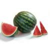 Арбуз Романза F 1 Швейцария 1.000 семян