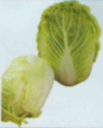 100 Капуста Ричи F1 пекинская Япония 100 семян