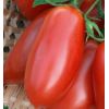 Томат Торквей F1 Детерминантный. Нидерланды 1.000 семян