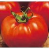 Томат Султан F1 Детерминантный. Нидерланды 1.000 семян