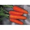 Морковь Курода Шантене Франция 1 кг