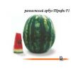 Арбуз Трофи F1 Нидерланды 1.000 семян