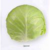 100 Капуста Циклоп F1 белокочанная Япония 100 семян