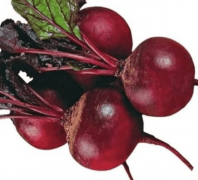 Свекла Детройт Япония Фракция 3.6-4,0 mm 50.000 семян