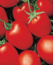 Томат Яки F1