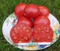 10 Томат Розалин F1 Индетерминантный розовый. Япония 10 семян