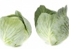 Капуста Лагрима F1 белокочанная Нидерланды 1.000 семян