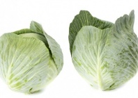 Капуста Лагрима F1 белокочанная Нидерланды 1.000 семян