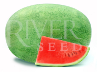 Арбуз Сандор F1