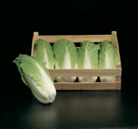 100 Капуста Таранко F1 пекинская Нидерланды 100 семян