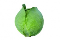 Капуста Синтекс F1 белокочанная Нидерланды 2.500 семян