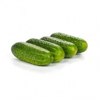 Огурец Леннон F1 Нидерланды 100 семян