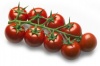 Томат Аморозо F 1 Индетерминантный черри. Нидерланды «Профессиональные семена» 100 семян