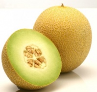 Дыня Юкар F1