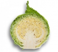 Капуста Мадлен F1