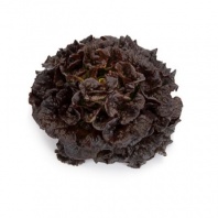 Салат Бонарда