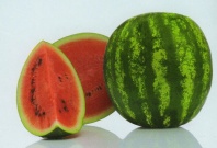 30 Арбуз Тюрк F1 Япония 30 семян