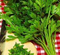 10х2 Петрушка листовая Итальянский гигант, Parsiey Gigante d'italia Нидерланды 2 грамма 10 пакетов