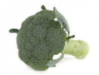 Капуста Орантес F1 брокколи Нидерланды 1.000 семян