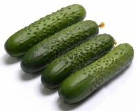 Огурец Спино F1