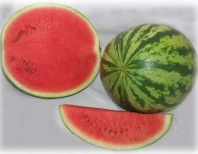 Арбуз Юлия F1 Нидерланды 1.000 семян