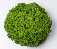 Салат Илема