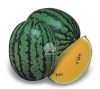 Арбуз Шампань F1 Япония 1.000 семян