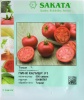 Томат Пинк Калибр F1 Индетерминантный розовый. Япония 500 семян