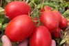 30 Томат Петраросса F1 Детерминантный. Франция 30 семян