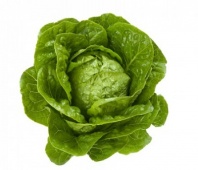 Салат Квинтус Нидерланды 1.000 драже