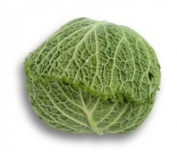 Капуста Мадлен F1 савойская Нидерланды 1.000 семян
