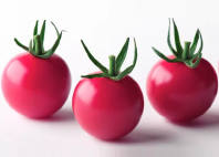 10 Томат Рианна F1 Индетерминантный черри. Япония 10 семян