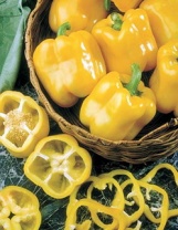 Перец Эрли Сансейшн F1 жёлтый кубовидный Нидерланды 500 семян