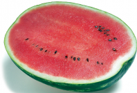 Арбуз Топ Ган F1