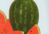 20 Арбуз Осман F1 Япония 20 семян