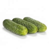 Огурец Берлиоз F1