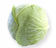 Капуста Ориема F1 белокочанная Нидерланды 1.000 семян