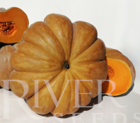 Тыква Мускат де Прованс